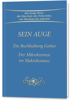Sein Auge - Die Buchhaltung Gottes (Taschenbuch)