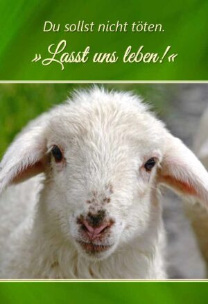 Tiere sind Geschöpfe Gottes