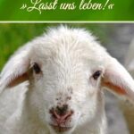 Tiere sind Geschöpfe Gottes
