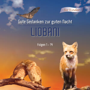 Gute Nacht Geschichten für Kinder Hörbuch